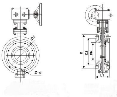D343W不銹鋼硬密封蝶閥